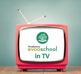 Evooschool in TV